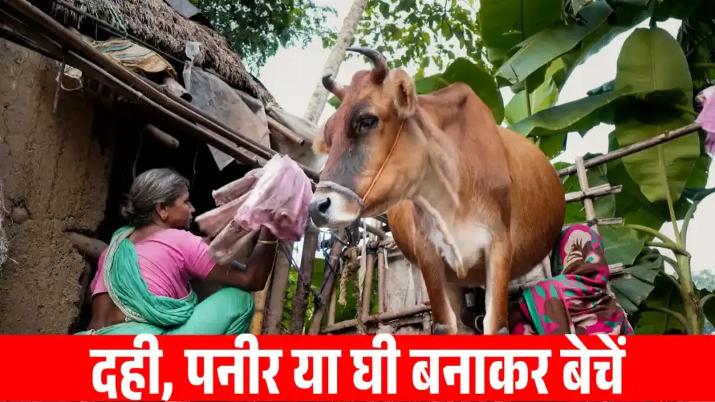 Top 10 Business Ideas for Village