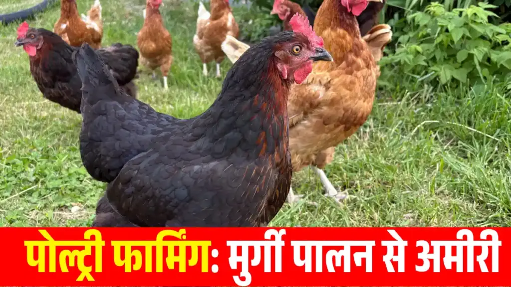 Top 10 Business Ideas for Village