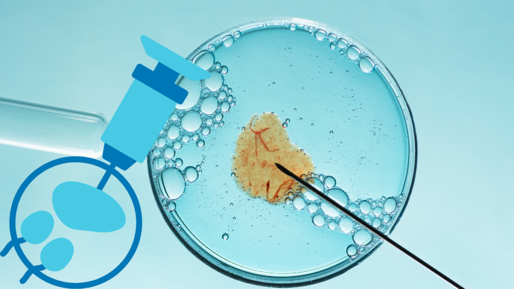 artificial insemination kit for cattle