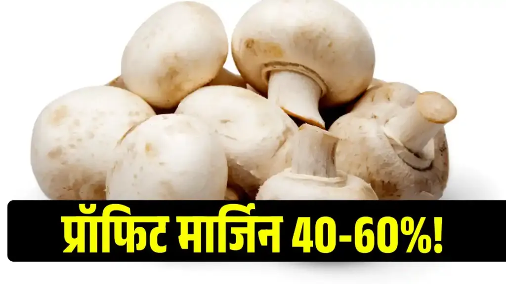 Mushroom Farming Business in Hindi